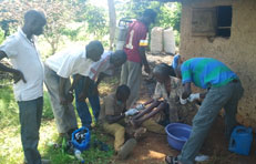 Project Team treating elderly woman