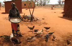 Woman with Poultry